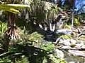 Waterfalls at the San Diego Botanical Garden (Quail). Great exploring on a date!