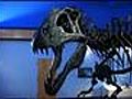 Dinosaur Discovery at Museum of the Red River