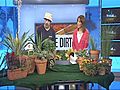 The Dirt: Plants for Brown Thumbs
