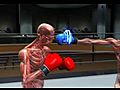 On Sports Science,  Boxer Vs. Snake, Part 2