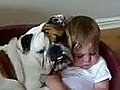 British Bulldog Missy watches over little baby H