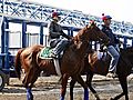 Derby winner picked as favorite for Belmont