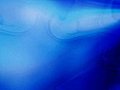 Blue Paint Smoke(L) Stock Footage