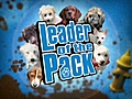 Meet the Pack