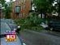 Trees Down,  Many Without Power After Storms